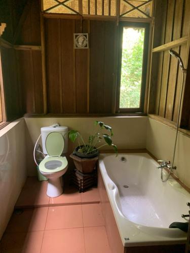 武吉拉旺Happy Ria Homestay & Guesthouse的一间带卫生间、浴缸和植物的浴室