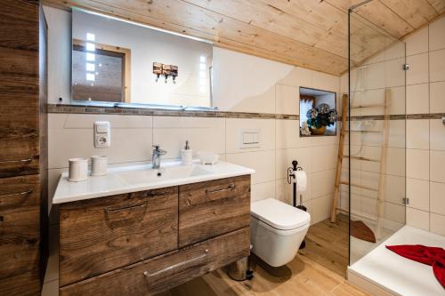 柯尼希斯湖畔舍瑙Haus Franz und Haus Antje的一间带水槽和卫生间的浴室