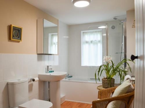 DummerClub Cottage的浴室配有盥洗盆、卫生间和浴缸。