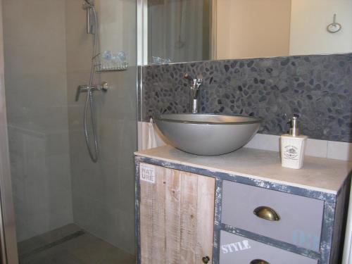 皮内兹齐Apartment VITA MARIS的一间带一个碗水槽和淋浴的浴室