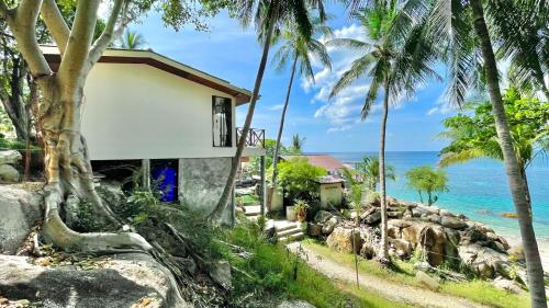 涛岛PD海滩度假酒店的棕榈树海滩上的房子