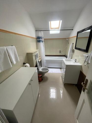 苏恰瓦Eroilor II Apartament的一间带卫生间和水槽的小浴室