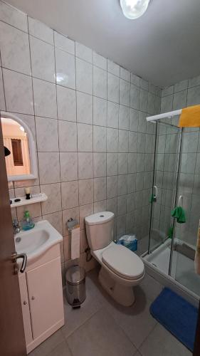 尼科西亚Ioannis Ylation的浴室配有卫生间、盥洗盆和淋浴。