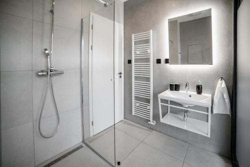 日利纳Piano apartments - LICITY的带淋浴、盥洗盆和镜子的浴室