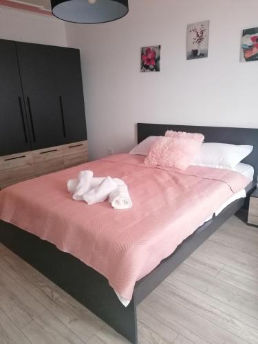 克拉约瓦Garsoniera P2的粉色毯子上床,有种动物