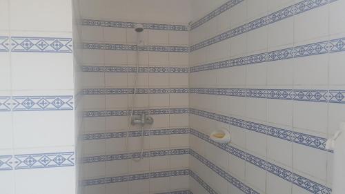 大巴萨姆Capriccio的浴室设有蓝色和白色瓷砖淋浴。