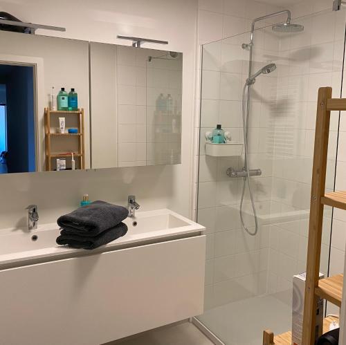 根特Le Sable Doux - Gent的白色的浴室设有水槽和淋浴。