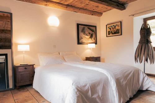FrascoVerzasca Lodge Carlotta的卧室配有一张白色大床和两盏灯。