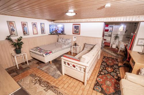 皮耶塔尔萨里Mukava kellarihuoneisto jossa sauna ja poreallas的客厅配有沙发和1张床
