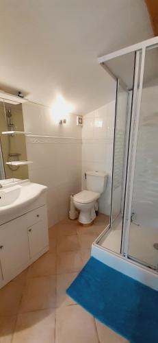 圣昂托南La petite maison du Bosc的一间带卫生间和玻璃淋浴间的浴室