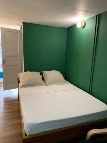MamoudzouStudio 19 Mamoudzou hyper centre的一间卧室设有绿色的墙壁和一张床