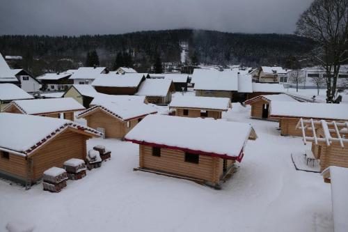 拜尔里舍艾森施泰恩Chalet Hüttendorf 49 gradnord的一座被雪覆盖的小镇,有建筑