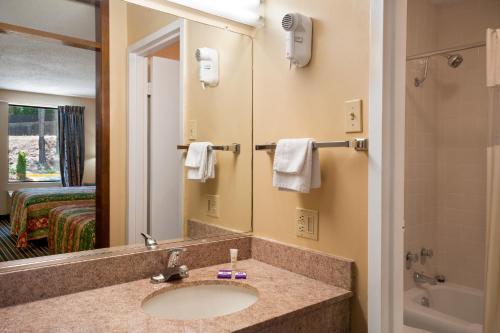 艾肯艾肯骑士旅馆的一间带水槽和镜子的浴室
