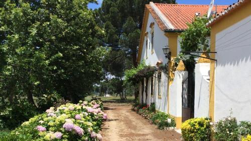 阿布兰特什Quinta de SantAna da Várzea的土路旁有鲜花的房子