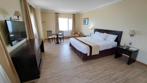 阿里卡迭戈德阿尔马格罗阿里卡酒店的配有一张床和一台平面电视的酒店客房