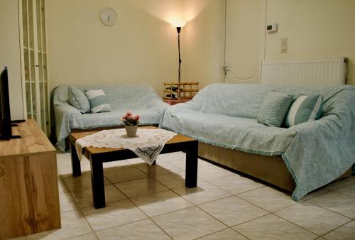 普萨克迪亚Vasiliki's Apartment的客厅配有沙发和桌子