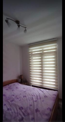 巴伊纳巴什塔Apartman NIKOLIJA 1的一间卧室配有紫色的床和带百叶窗的窗户