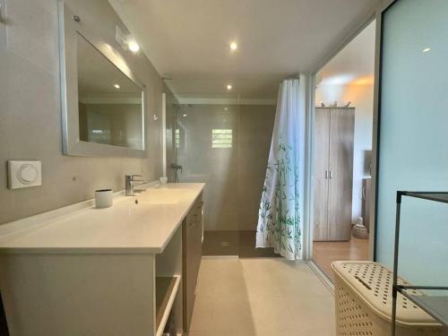 MarigotView apartment - St Barts的一间带水槽和大镜子的浴室