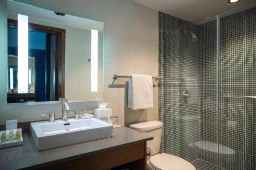 布卢明顿Renaissance Minneapolis Bloomington Hotel的一间带水槽、淋浴和卫生间的浴室