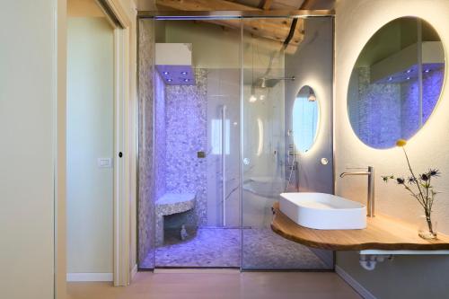 里米尼Agriturismo Borgonuovo的一间带玻璃淋浴间和水槽的浴室