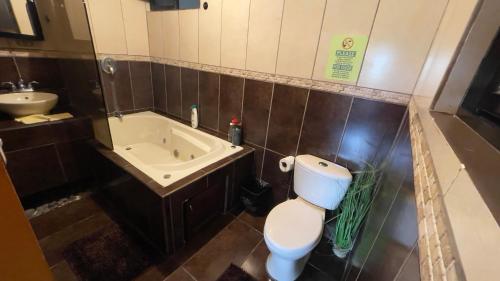 阿拉胡埃拉Around Juan Santa María的浴室配有卫生间、盥洗盆和浴缸。