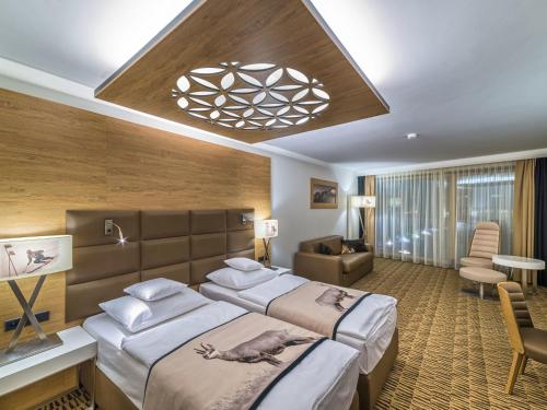 扎科帕内莱兹德西亚诺萨罗伊德瓦酒店的酒店客房,设有两张床和一张沙发
