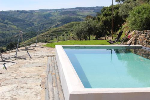 阿利若Country house Quinta da Salgueira的享有葡萄园景致的游泳池