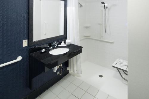 奥兰多奥兰多海洋世界万豪费尔菲尔德套房酒店的一间带水槽、镜子和淋浴的浴室