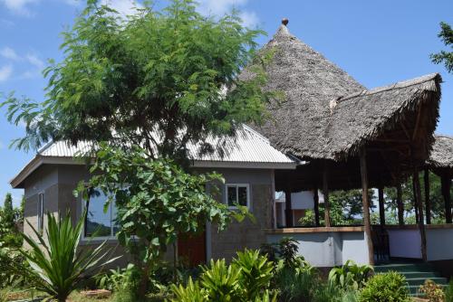 莫希Kili View Lodge的茅草屋顶和树屋