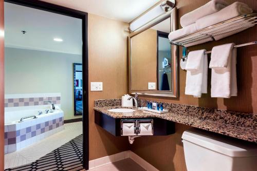 法戈法戈万豪德尔塔酒店的一间带水槽、浴缸和镜子的浴室