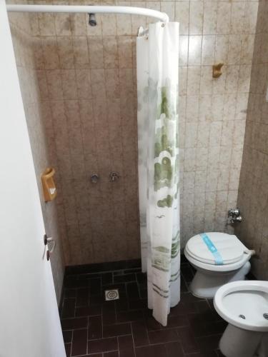 内科切阿Necochea Real Hotel的带淋浴、卫生间和浴帘的浴室