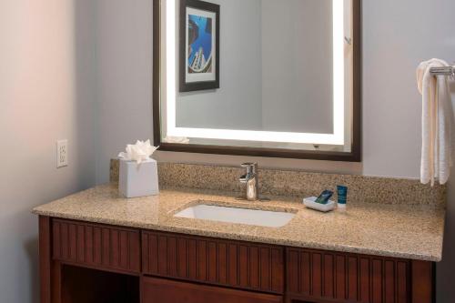 休斯顿休斯敦荷比机场福朋喜来登酒店的一间带水槽和镜子的浴室