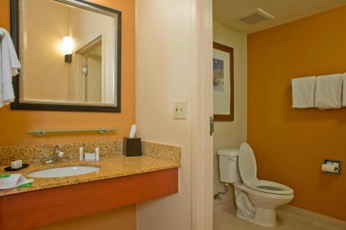 格尔夫海岸海湾畔工艺农场万怡酒店的一间带卫生间、水槽和镜子的浴室