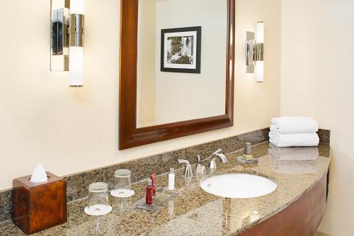伯班克洛杉矶伯班克机场万豪酒店 的一间带水槽和镜子的浴室