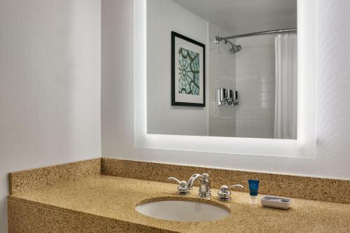 小石城小石城中城区福朋喜来登酒店的浴室的柜台设有水槽和镜子