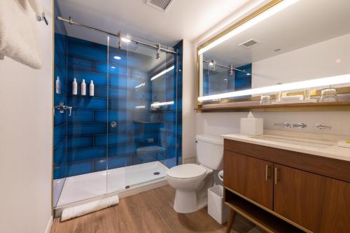芝加哥Le Meridien Essex Chicago的一间带卫生间和玻璃淋浴间的浴室
