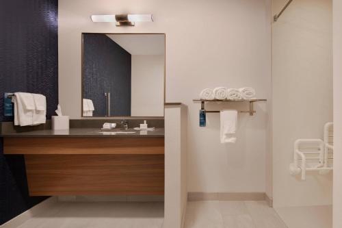 卫斯理堂Fairfield Inn & Suites by Marriott Tampa Wesley Chapel的一间带水槽和镜子的浴室
