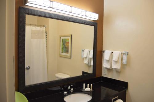 钱诺夫休斯顿钱纳尔维尤费尔菲尔德套房客栈的一间带水槽和大镜子的浴室