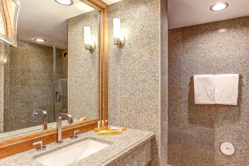 科斯塔梅萨科斯塔梅萨艺术大道酒店 - 翠贡精选酒店的一间带水槽和淋浴的浴室