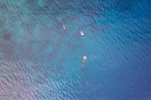 比拉Seascapes Bira的两个人在海洋里游泳