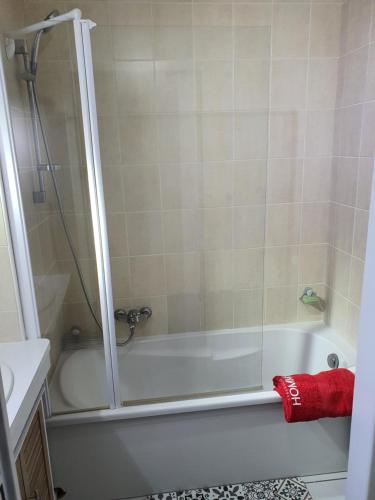 滨海阿热莱斯Bienvenue dans le ROUSSILLON的带淋浴和红色毛巾浴缸的浴室