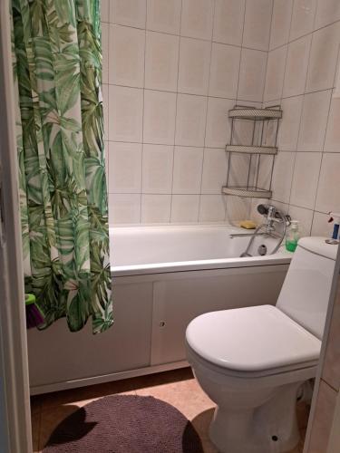 陶格夫匹尔斯Comfort的一间带卫生间和浴缸的浴室