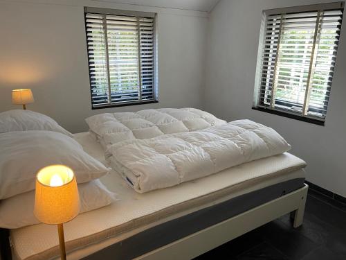 埃尔默洛RiemersHof的卧室配有一张带灯的白色大床