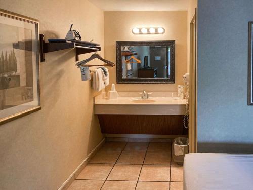 布兰森The Boardwalk Inn的一间带水槽和镜子的浴室
