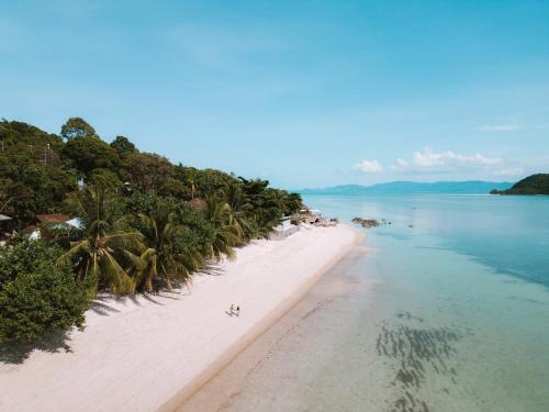 Haad PleayleamKupu Kupu Phangan Beach Villas & Spa by L'Occitane - SHA Plus的一片棕榈树和海洋的空旷海滩
