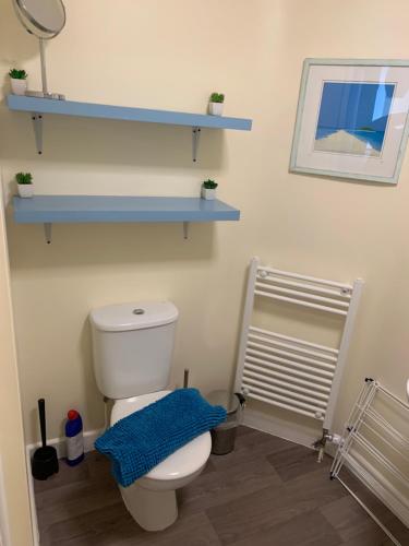 韦茅斯Amazing sea views ,brilliant location Apartment的浴室设有白色卫生间和蓝色架子。