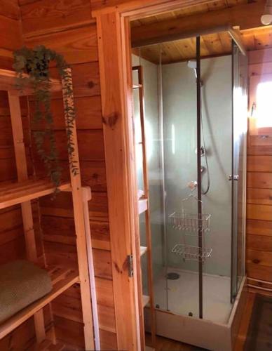 阿尔坎塔里利亚Quinta chalet的小木屋内的淋浴和玻璃门