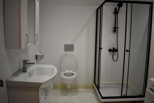 KardanakhiElizbar Talakvadze Winery的浴室配有卫生间、盥洗盆和淋浴。