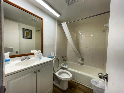 默特尔比奇海滨海盗汽车旅馆的浴室配有盥洗盆、卫生间和浴缸。