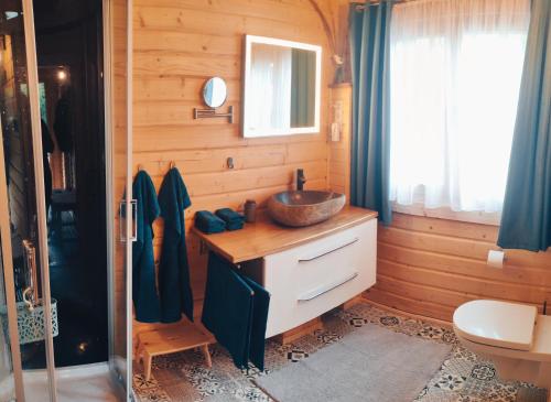 AltenrodeFerienhaus Birkholz Harz的木制客房内的带水槽的浴室